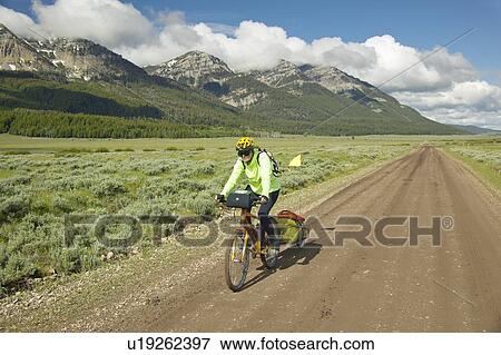 Bicyclist riding in Centennial Valley View Large Photo Image Stock Photo - Bicyclist riding in Centennial Valley. Fotosearch