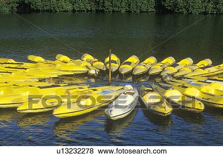 Circle of yellow Kayaks in water View Large Photo Image Stock Photo - Circle of yellow Kayaks in water. Fotosearch