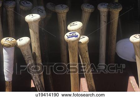 Close-up of baseball bats View Large Photo Image Stock Image - Close-up of baseball bats. Fotosearch