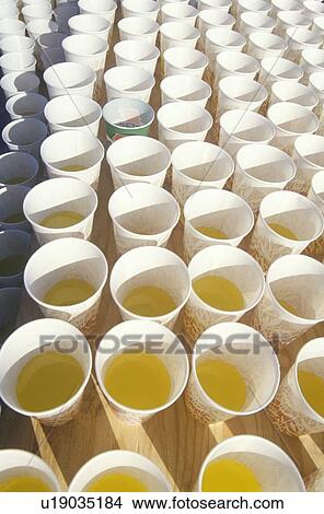 Close-up of paper cups of water for runners View Large Photo Image Picture - Close-up of paper cups of water for runners. Fotosearch