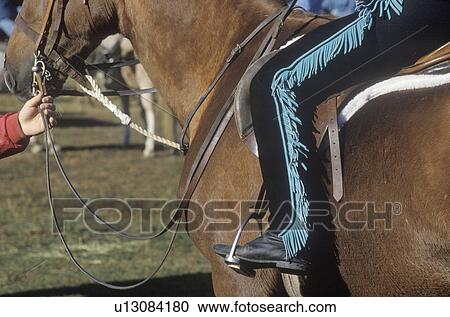 Close-up of rider on horseback View Large Photo Image Stock Image - Close-up of rider on horseback. Fotosearch