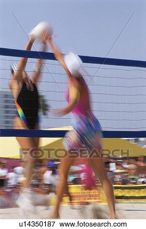 Female volleyball player blocks a shot at the net View Large Photo Image Stock Photo - Female volleyball player blocks a shot at the net. Fotosearch