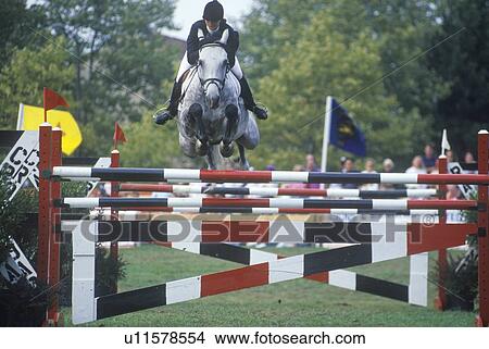 Picture - Horse and rider clearing hurdle. Fotosearch