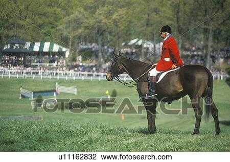 Rider on horseback observing steeplechase field View Large Photo Image Stock Image - Rider on horseback observing steeplechase field. Fotosearch