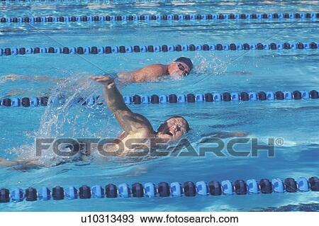 Senior Olympic Swimming Competition, Ojai, CA View Large Photo Image Stock Image - Senior Olympic Swimming Competition, Ojai, CA. Fotosearch