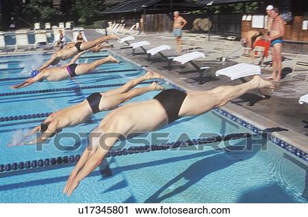 Senior Olympic Swimming Competition Men Diving At Starting Gate Stock Image U Fotosearch