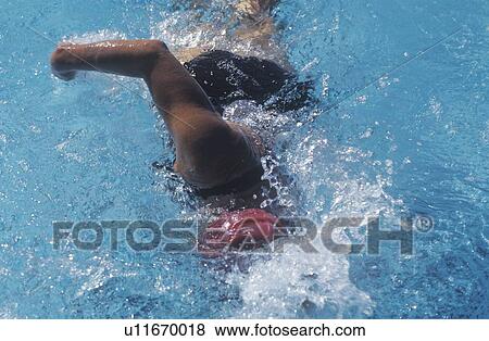 Swimmer in Senior Olympic Swimming Competition View Large Photo Image Stock Photo - Swimmer in Senior Olympic Swimming Competition. Fotosearch