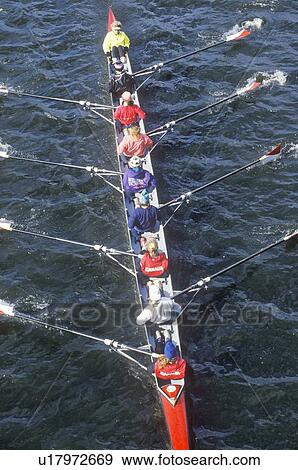 Team of Female Rowers View Large Photo Image Stock Photo - Team of Female Rowers. Fotosearch