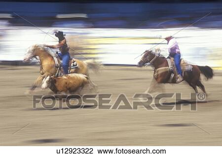 Stock Image - Team roping event. Fotosearch