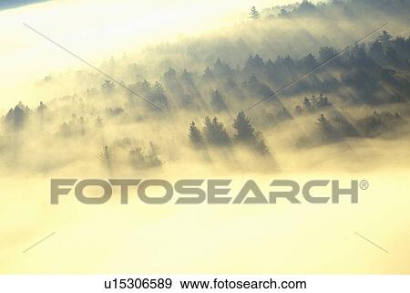 Aerial view of Morning fog and sunrise in autumn View Large Photo Image Stock Photo - Aerial view of Morning fog and sunrise in autumn. Fotosearch