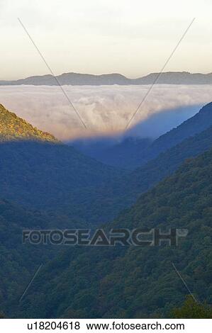 Morning fog at sunrise in autumn mountains of West Virginia in Babcock State Park View Large Photo Image Stock Photo - Morning fog at sunrise in autumn mountains of West Virginia in Babcock State Park. Fotosearch