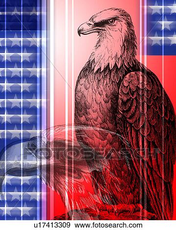 Stock Illustration - bald eagle with flag background. Fotosearch