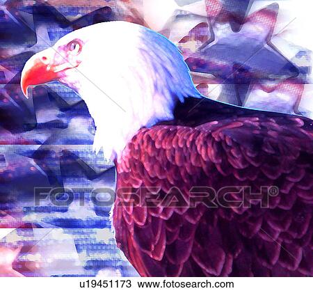 bald eagle with red and blue stars View Large Illustration Drawing - bald eagle with red and blue stars. Fotosearch