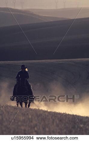 Picture - Person Riding a Horse. Fotosearch