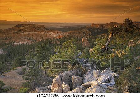 America, canyon, bryce, america View Large Photo Image Stock Photograph - America, canyon, bryce, america. Fotosearch