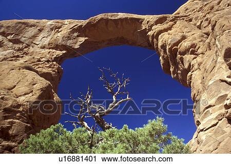 brown, America, blue, arizona, archway, day, america View Large Photo Image Stock Image - brown, America, blue, arizona, archway, day, america. Fotosearch