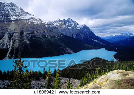 Stock Image - day, america, Canada, canada, banff, forest, America. Fotosearch