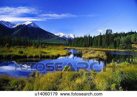 Stock Photo - day, america, Canada, canada, blue, forest, America. Fotosearch