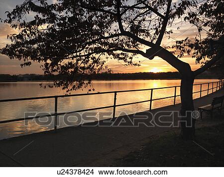 Sunset over water in Washington, D. C., USA. View Large Photo Image Picture - Sunset over water in Washington, D. C., USA.. Fotosearch