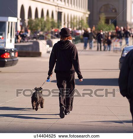 Woman walking dog View Large Photo Image Stock Photography - Woman walking dog. Fotosearch