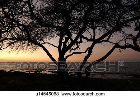 Big Island of Hawaii - sunset from beach View Large Photo Image Stock Photo - Big Island of Hawaii - sunset from beach. Fotosearch