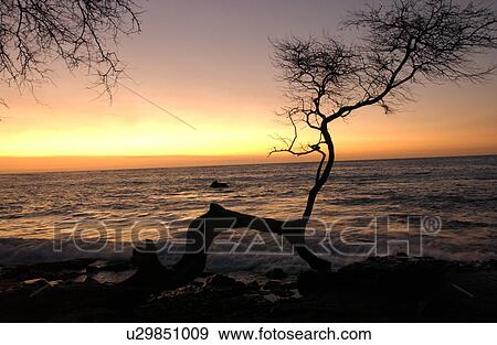 Stock Photo - Big Island of Hawaii - sunset from beach. Fotosearch