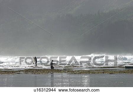 Picture - Hawaii & Kaui. Fotosearch