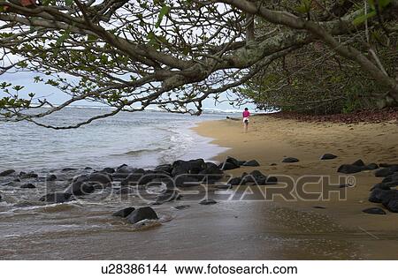 Picture - Hawaii & Kaui. Fotosearch
