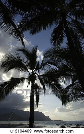 Stock Photo - Hawaii & Kaui. Fotosearch