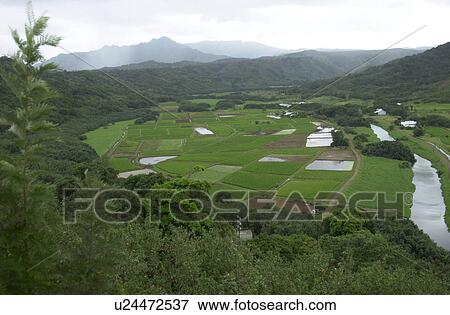 Hawaii & Kaui View Large Photo Image Stock Photo - Hawaii & Kaui. Fotosearch
