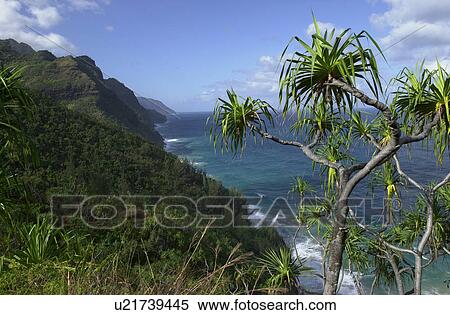 Stock Photography - Hawaii & Kaui. Fotosearch