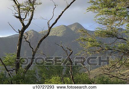 Maui - Hawaiian Islands View Large Photo Image Stock Image - Maui - Hawaiian Islands. Fotosearch