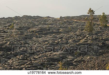 Picture - Volcano National Park - Big Island of Hawaii - hardened lava. Fotosearch