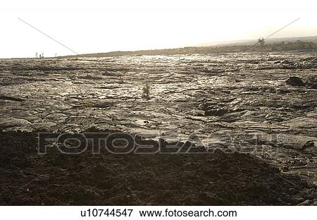 Volcano National Park - Big Island of Hawaii - hardened lava View Large Photo Image Stock Photo - Volcano National Park - Big Island of Hawaii - hardened lava. Fotosearch