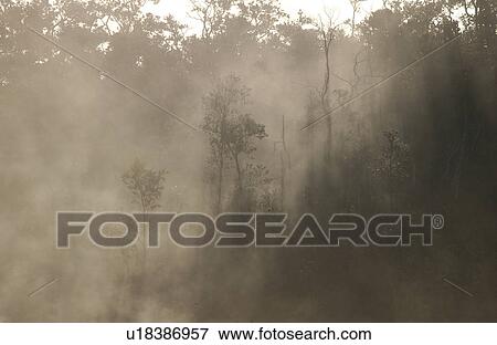 Stock Photo - Volcano National Park - Big Island of Hawaii - Steam Vents and Sulpher Bank. Fotosearch