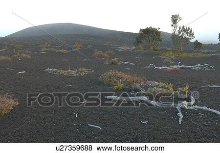 Stock Photo - Volcano National Park - Big Island of Hawaii - Desolation Trail. Fotosearch