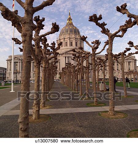 City Hall in San Francisco View Large Photo Image Stock Image - City Hall in San Francisco. Fotosearch