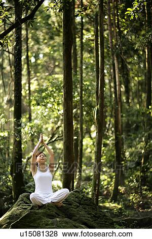 View of a young woman exercising in a forest. View Large Photo Image Stock Photo - View of a young woman exercising in a forest.. Fotosearch