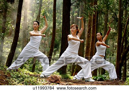Picture - View of young women exercising in a forest.. Fotosearch