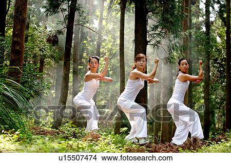 Picture - View of young women exercising in a forest.. Fotosearch