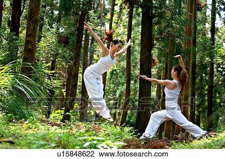 View of young women exercising in a forest. View Large Photo Image Stock Image - View of young women exercising in a forest.. Fotosearch