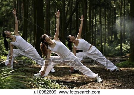 View of young women exercising in a forest. View Large Photo Image Stock Photo - View of young women exercising in a forest.. Fotosearch