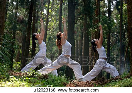 View of young women exercising in a forest. View Large Photo Image Stock Photo - View of young women exercising in a forest.. Fotosearch