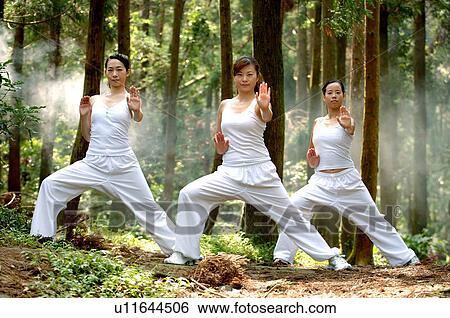 View of young women exercising in a forest. View Large Photo Image Stock Photograph - View of young women exercising in a forest.. Fotosearch