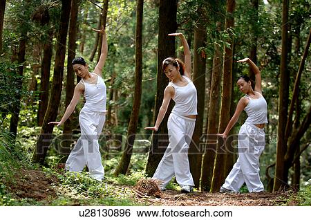 View of young women exercising in a forest. View Large Photo Image Stock Photograph - View of young women exercising in a forest.. Fotosearch