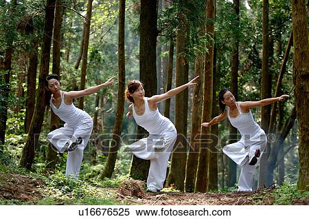 View of young women exercising in a forest. View Large Photo Image Stock Photography - View of young women exercising in a forest.. Fotosearch