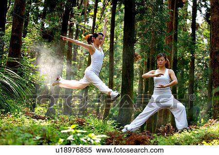 View of young women exercising in a forest. View Large Photo Image Stock Photography - View of young women exercising in a forest.. Fotosearch