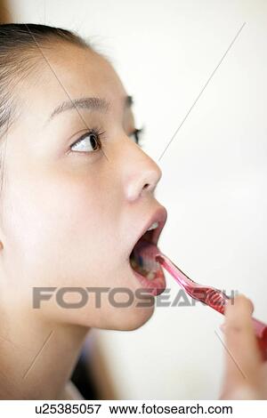Close-up of a young woman brushing. View Large Photo Image Stock Photo - Close-up of a young woman brushing.. Fotosearch