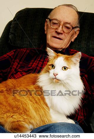 Portrait of an elderly man with his pet cat. View Large Photo Image Stock Image - Portrait of an elderly man with his pet cat.. Fotosearch