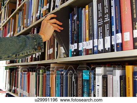 A person picking a book from a library. View Large Photo Image Stock Photograph - A person picking a book from a library.. Fotosearch